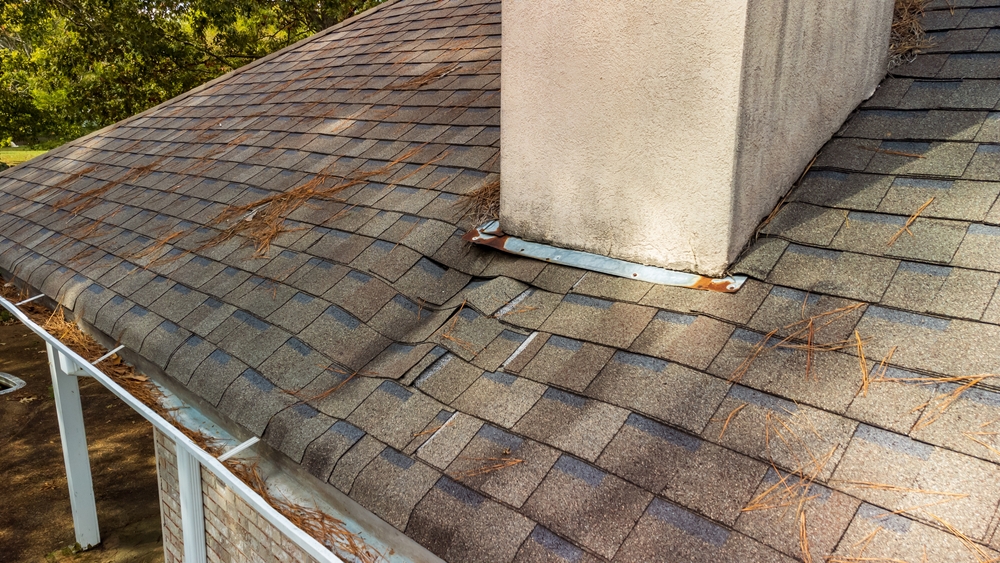 An old roof with water damage (the shingles are stained and buckling)